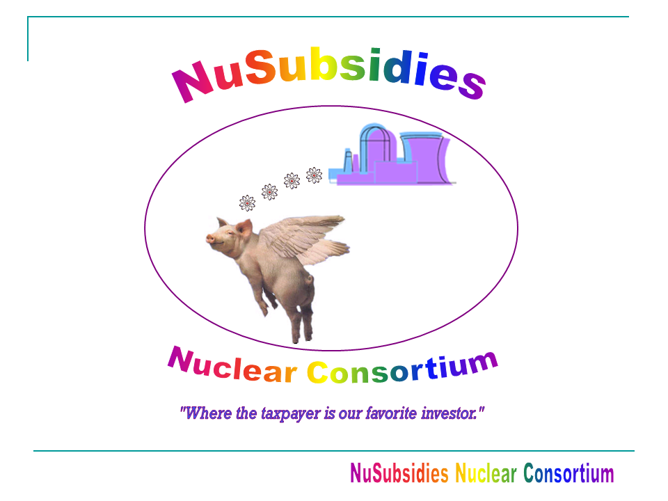 NuSubsidies cover page